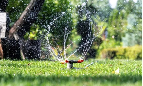 giardino, briconauta