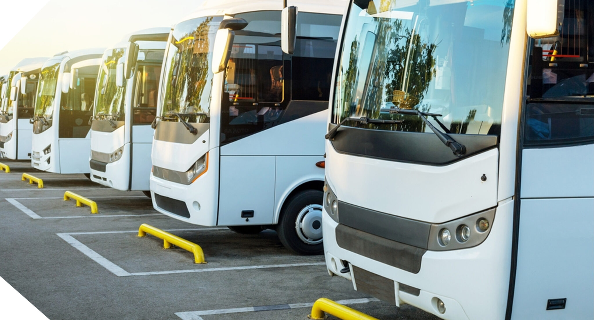 noleggio autobus con autista